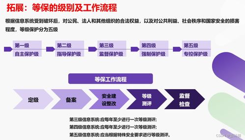 信息系統(tǒng)網(wǎng)絡(luò)安全方案 基于“3保1評(píng)”的軟件開發(fā)實(shí)踐